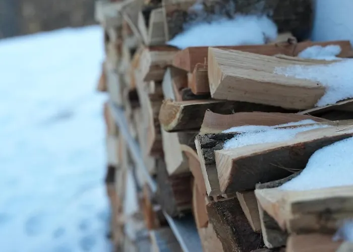 シャレー Rossier Mayens De Sion Aux 4 Vallees *